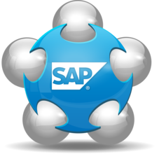 SAP项目是如何实施的？